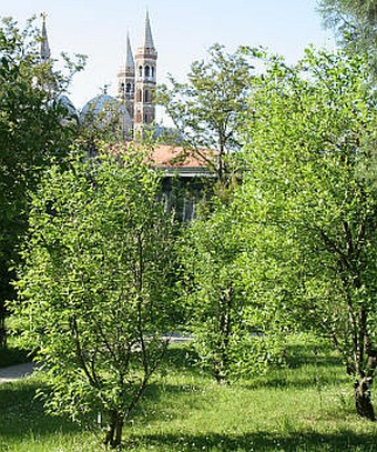 Orto Botanico di Padova