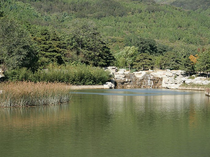 Beijing Botanical Gardens