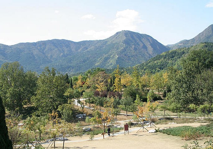 Beijing Botanical Gardens