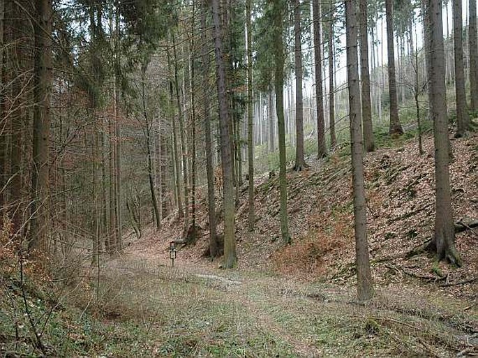 Železnohorské podhůří, Pivnice – přírodní památka