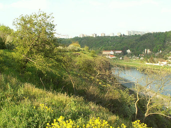 Praha, Podbabské skály – přírodní památka