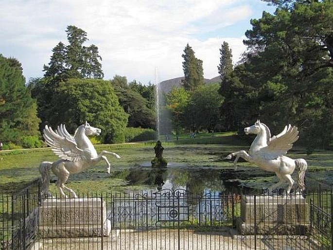 Powerscourt Gardens