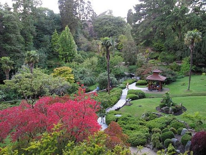 Powerscourt Gardens