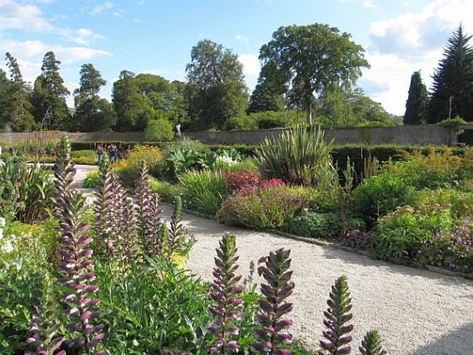 Powerscourt Gardens