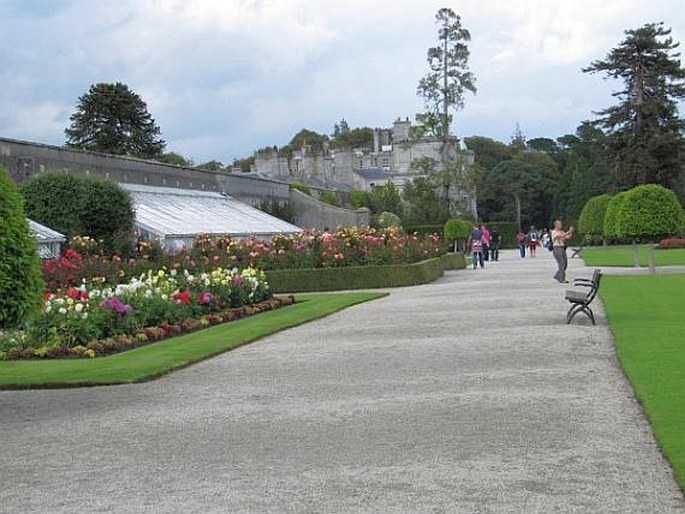 Powerscourt Gardens