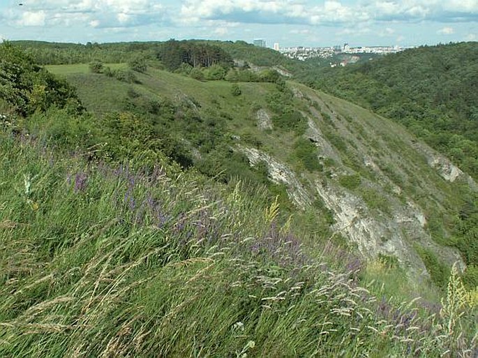 Praha, Prokopské údolí