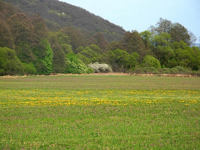 Slovensko, Pstruša - prírodná rezervácia