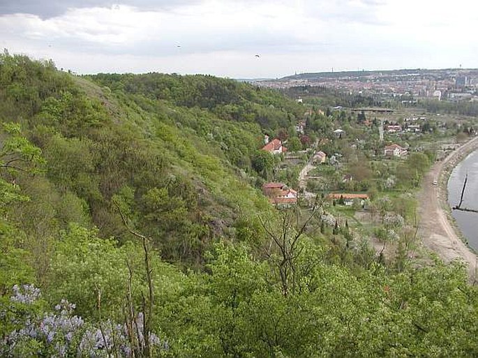 Praha, Drahaň-Troja - přírodní park