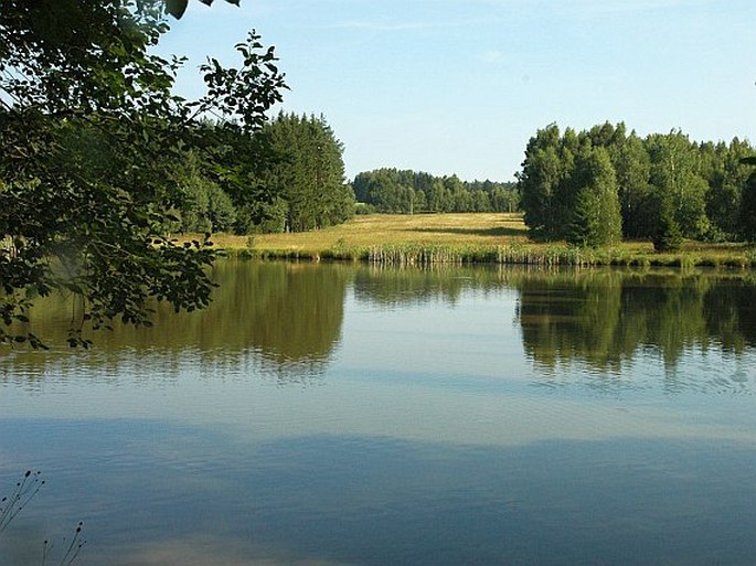 Sečská vrchovina, Ratajské rybníky – přírodní památka