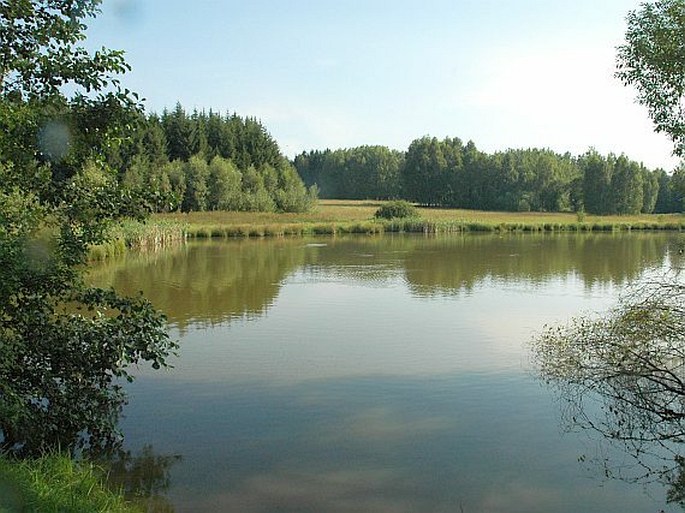Ratajské rybníky