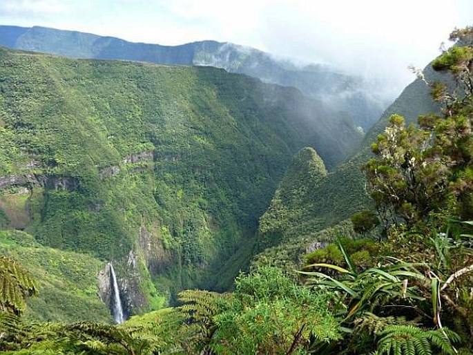 Réunion