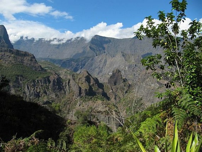 Réunion