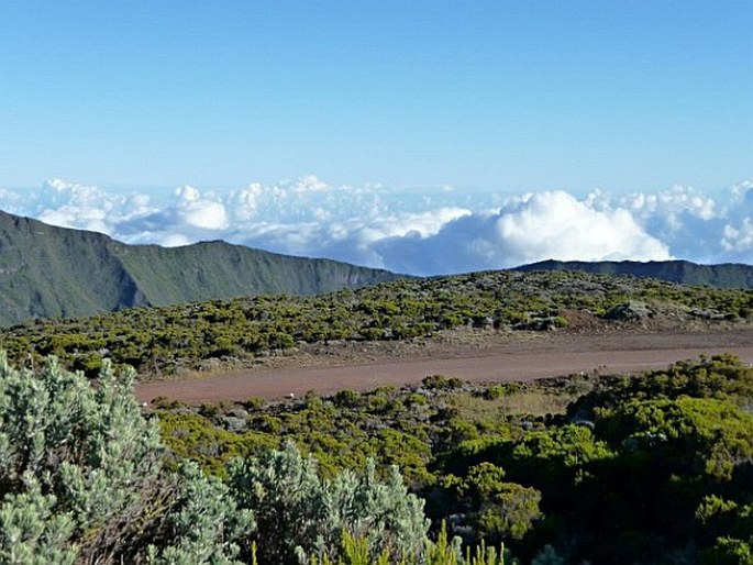 Réunion