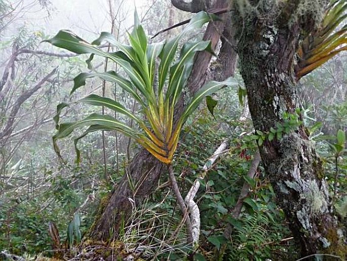 Réunion