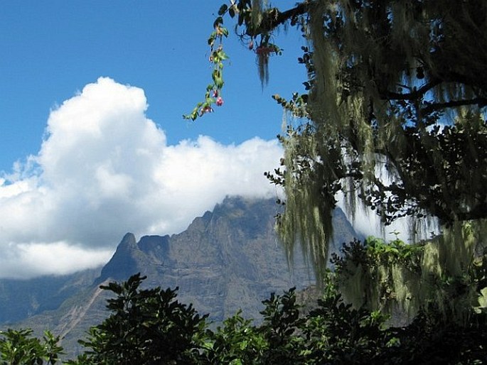 Réunion