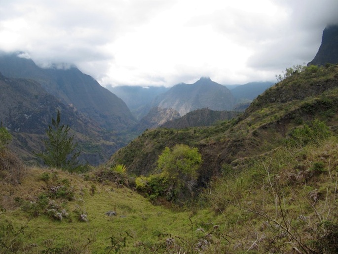 Réunion