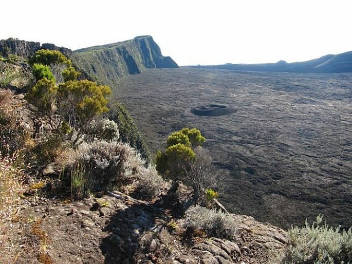 Réunion