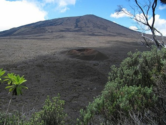 Réunion