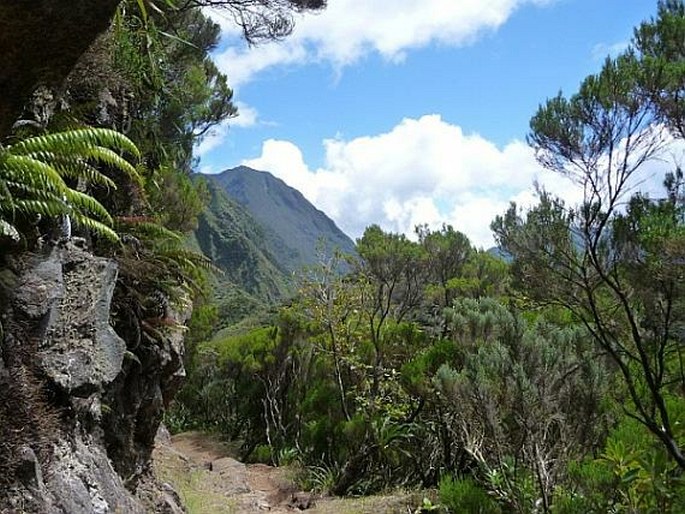 Réunion