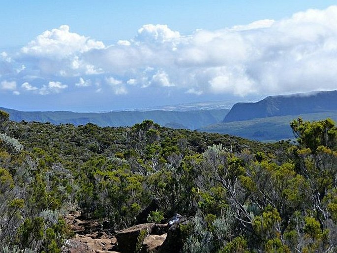 Réunion