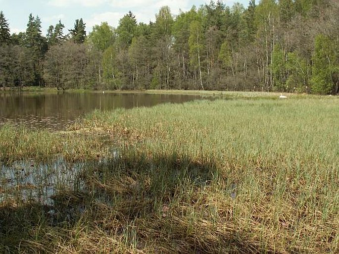 Rybníčky u Podbořánek – přírodní rezervace