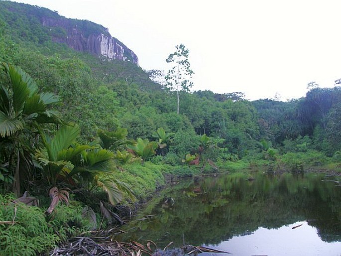 NP Morne Seychellois, mokřad Mare aux Cochons