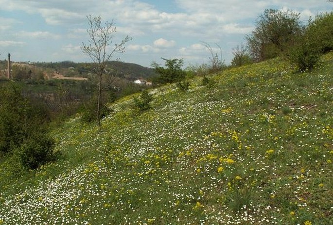 Sklenarka a Hrachovka