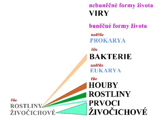 Neviditelný život 1.