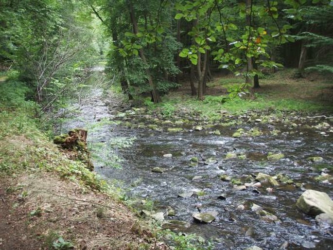 Železné hory, Strádovské Peklo – přírodní rezervace