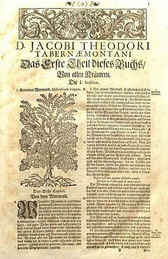 Tabernaemontanus, Jacobus Theodorus