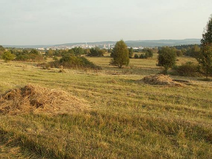 Tankodrom – přírodní rezervace