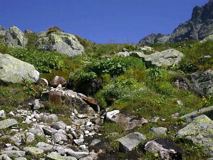 Tatry