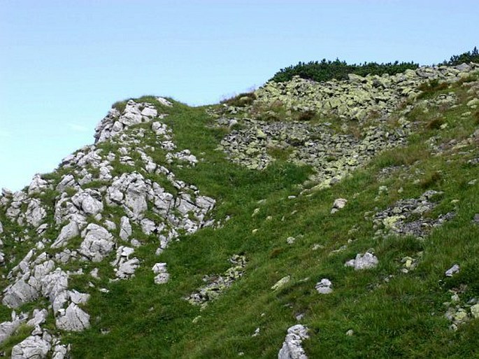 Tatry