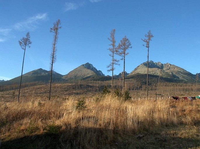 Tatry