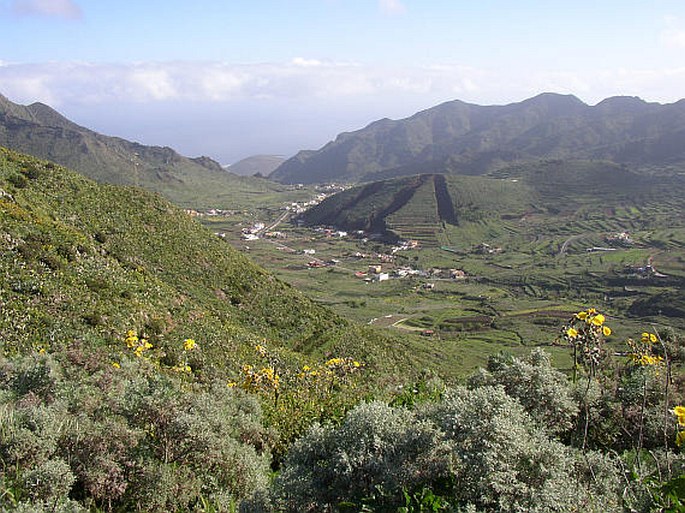 Tenerife