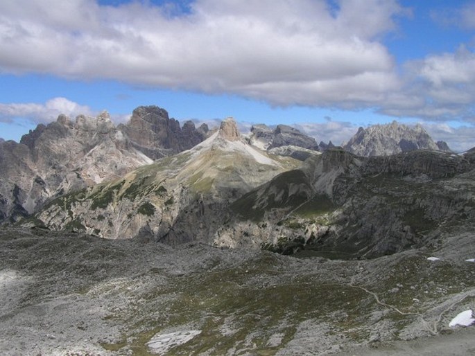 Gentiana terglouensis