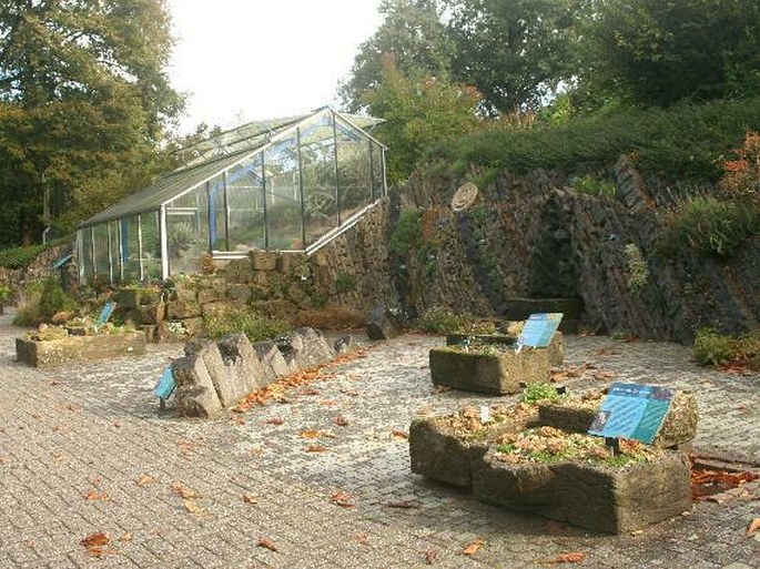 Botanische Tuinen Utrecht