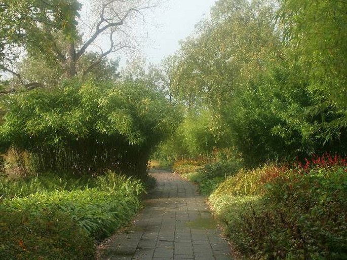 Botanische Tuinen Utrecht