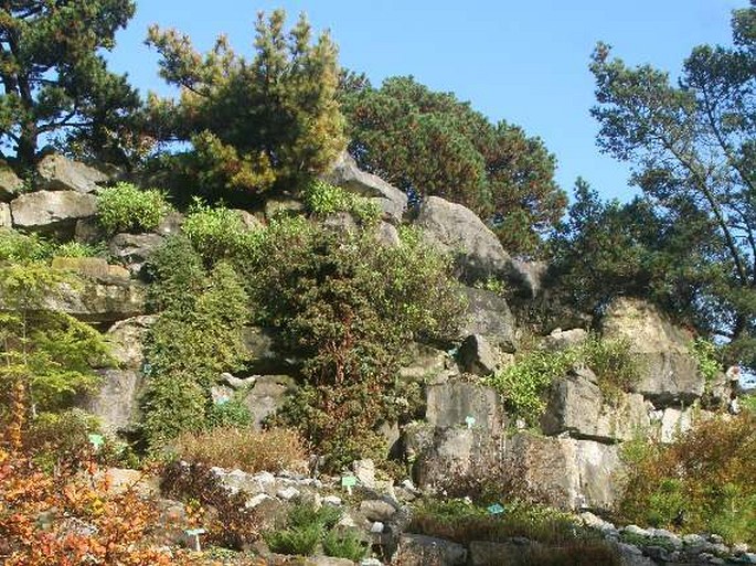 Botanische Tuinen Utrecht