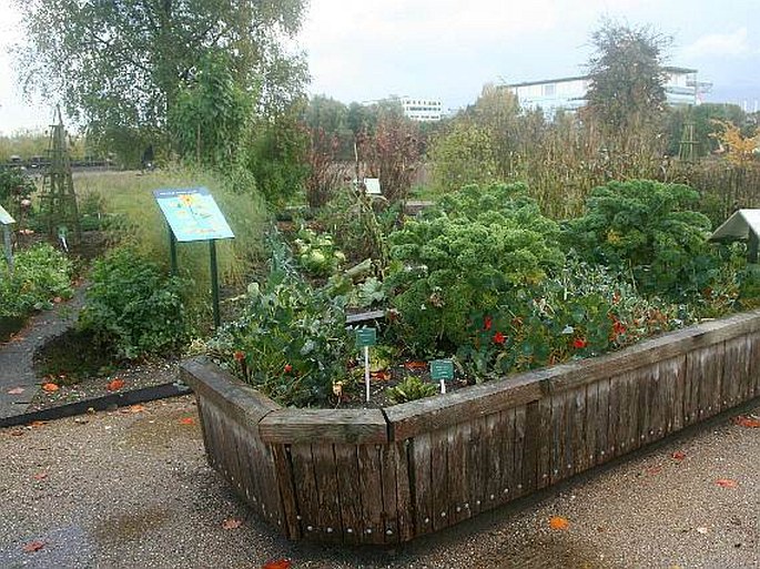 Botanische Tuinen Utrecht