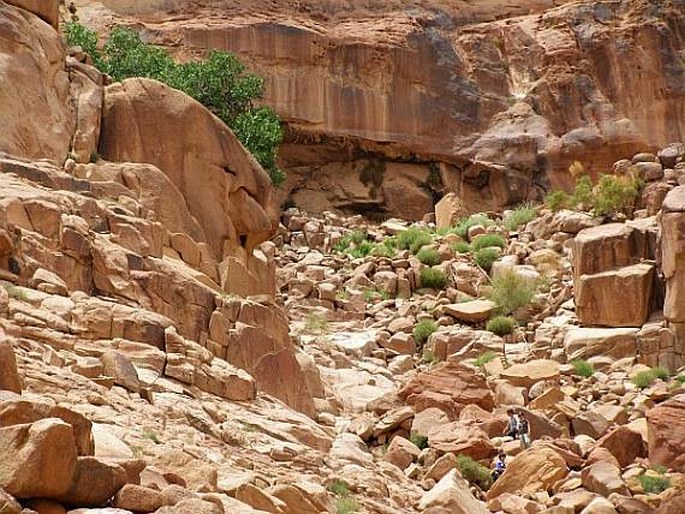 Wadi Rum