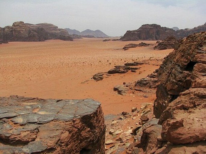 Wadi Rum