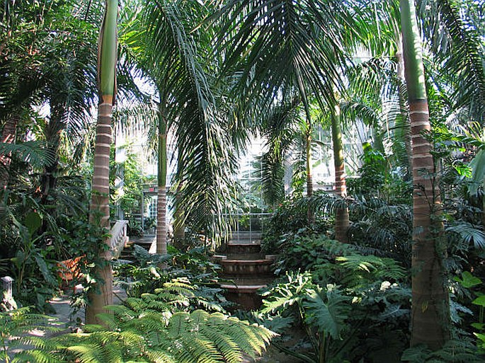 United States Botanic Garden