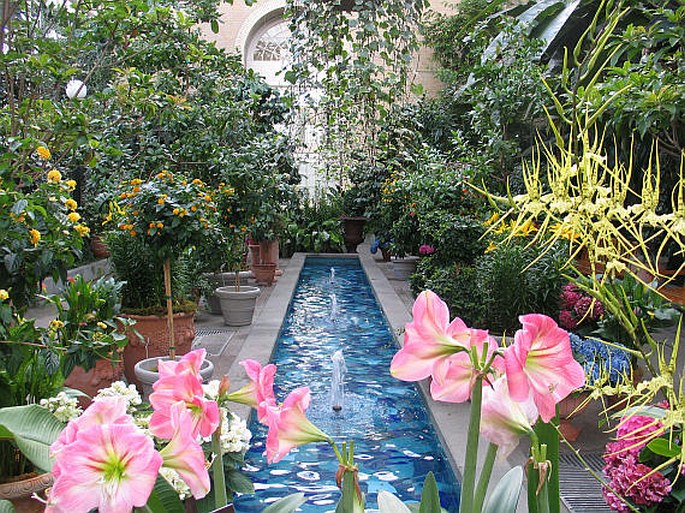 United States Botanic Garden