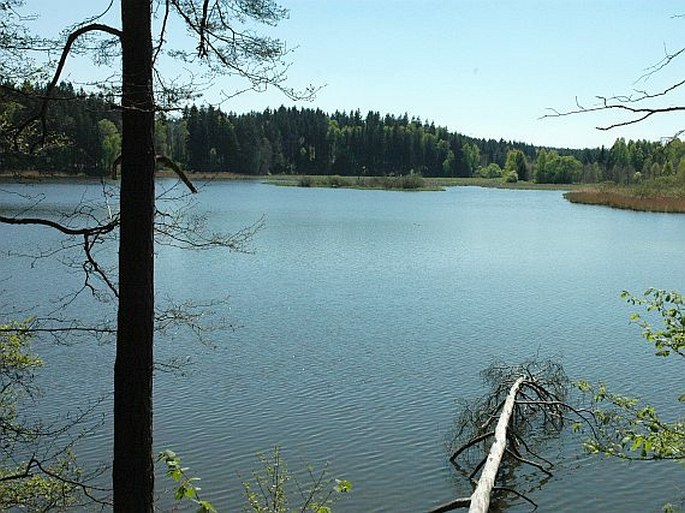 Sečská vrchovina, Zadní rybník – přírodní památka