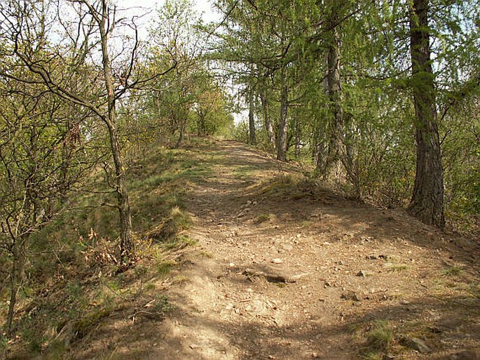 Praha, Zlatnice – přírodní památka