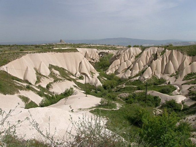 Holarctis – Íránsko-turanská oblast – Středoanatolská provincie