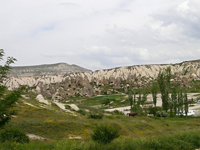 Středoanatolská provincie