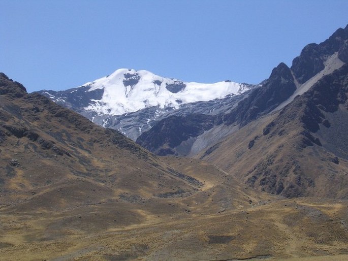 Neotropis – Andská oblast – Středoandská provincie