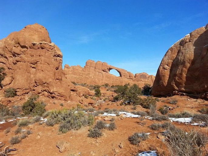 Arches